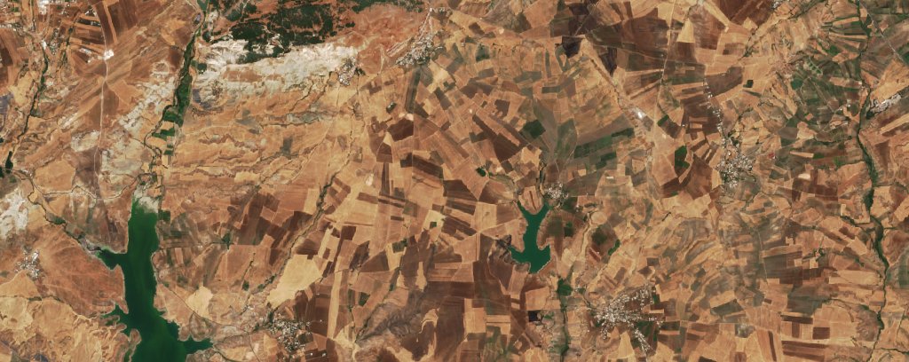 The area before the fire, September 13, 2026