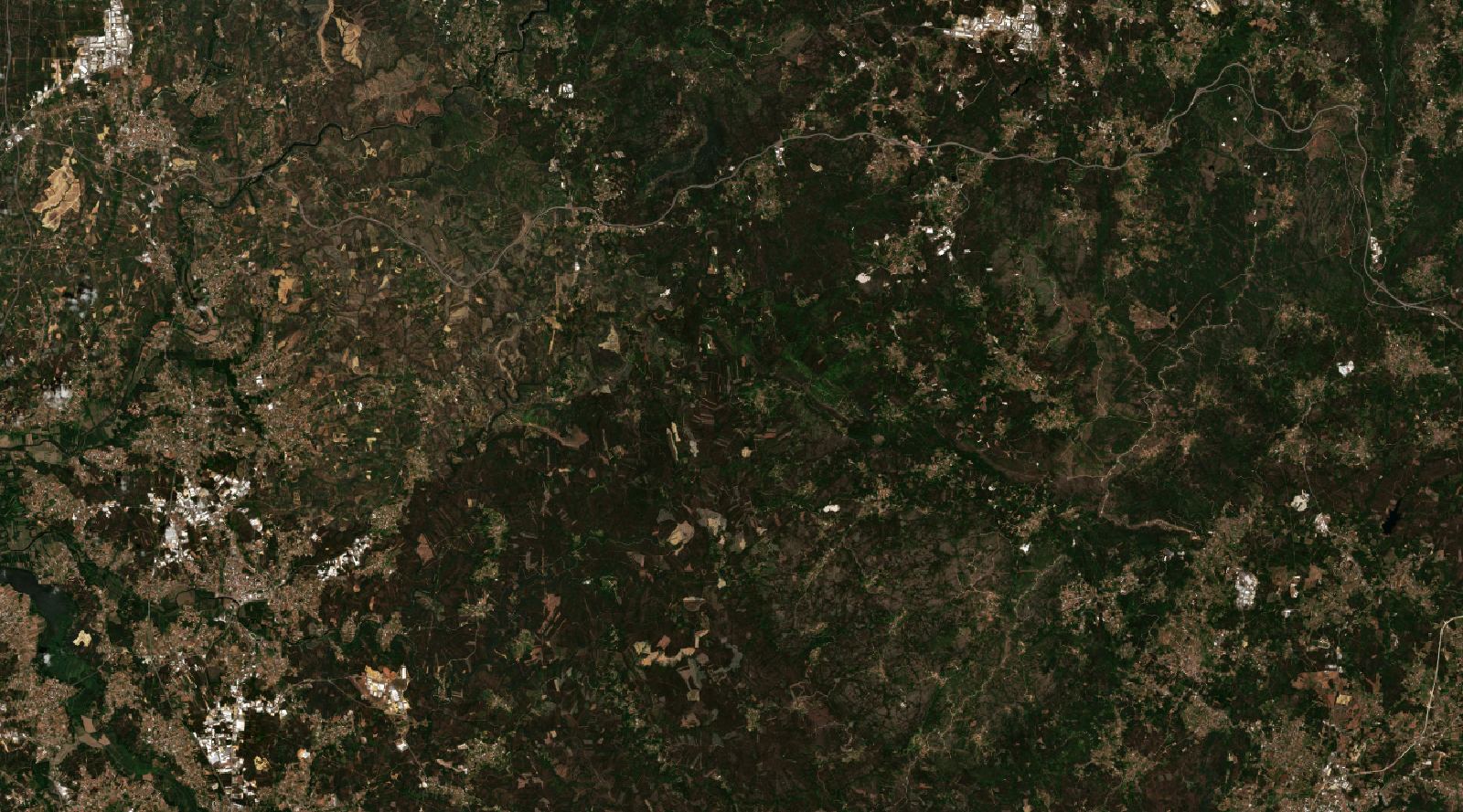 Sentinel-2 images