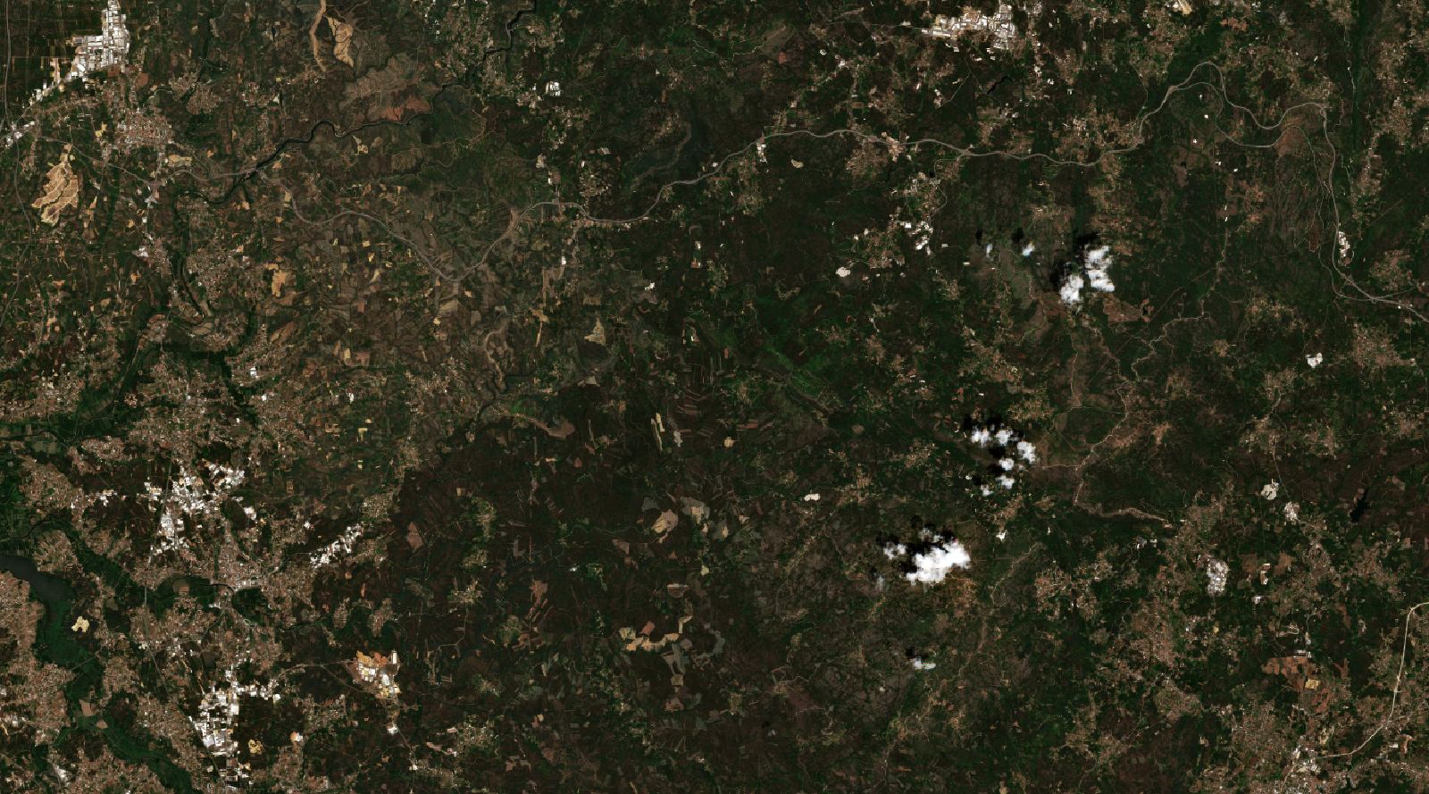The area before the fire, June 29, 2026