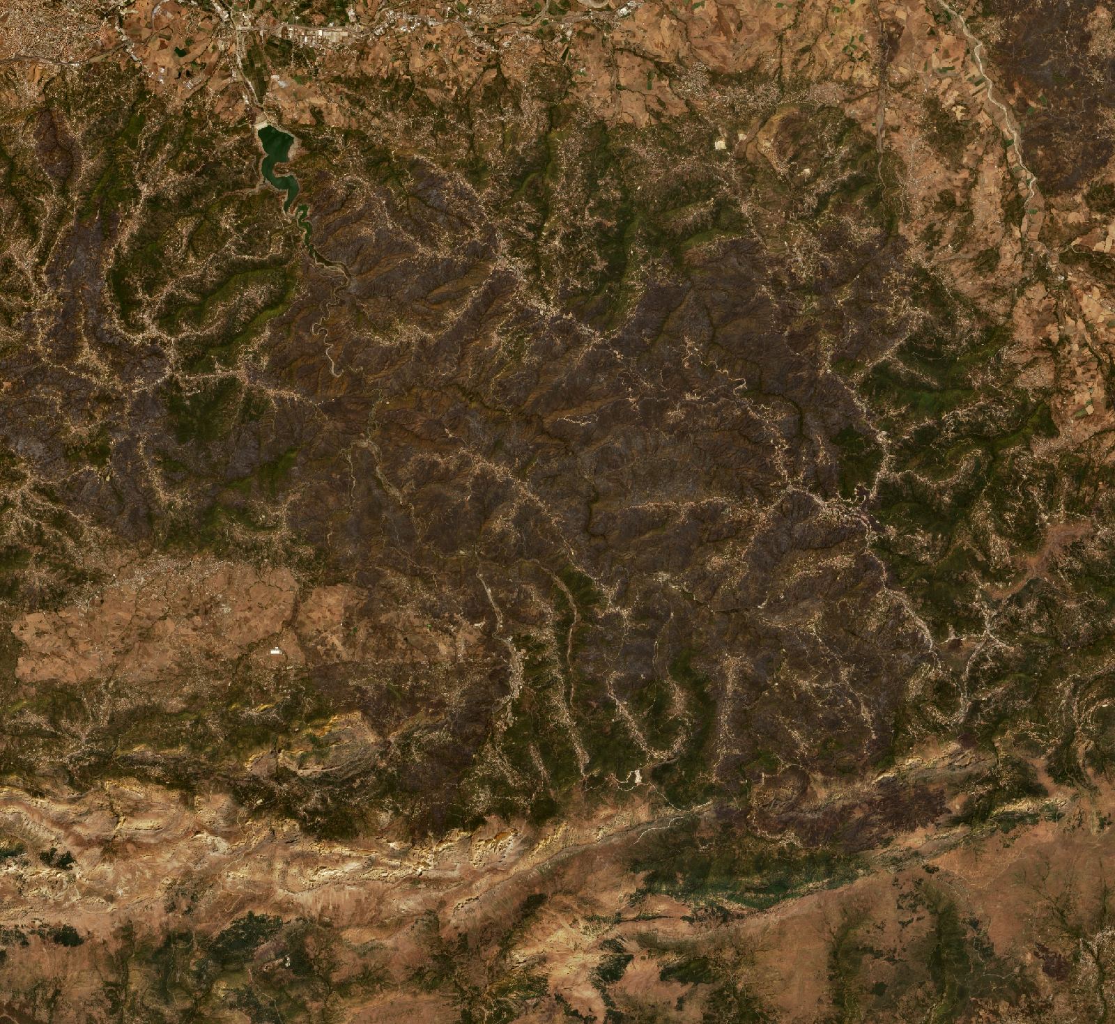 The area after the fire, August 17, 2021