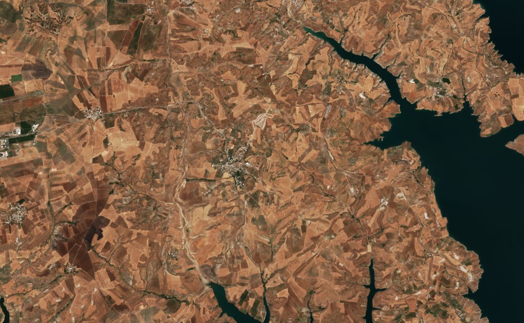 The area before the fire, September 3, 2026