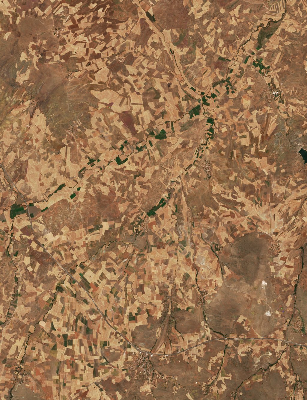 Sentinel-2 images