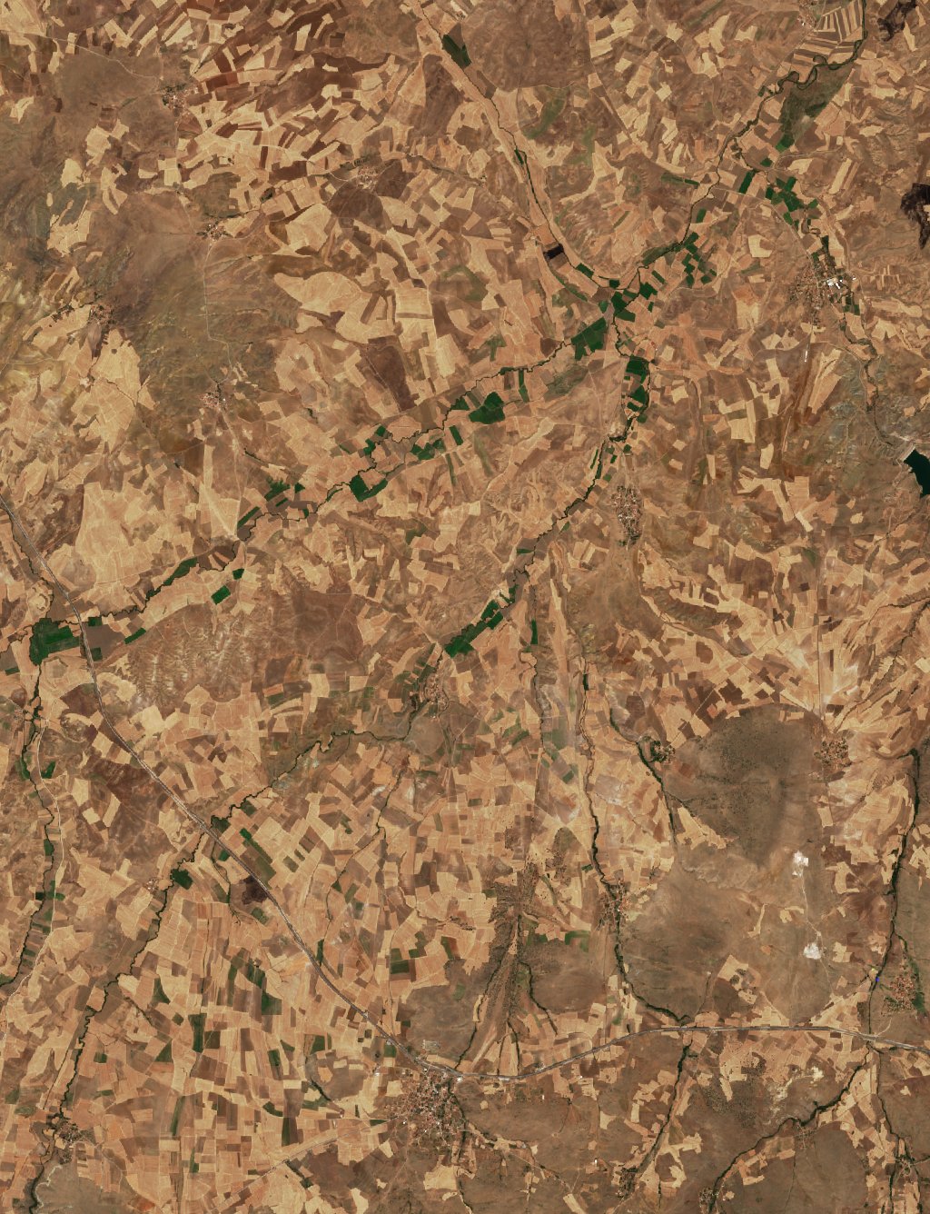 The area before the fire, August 5, 2026