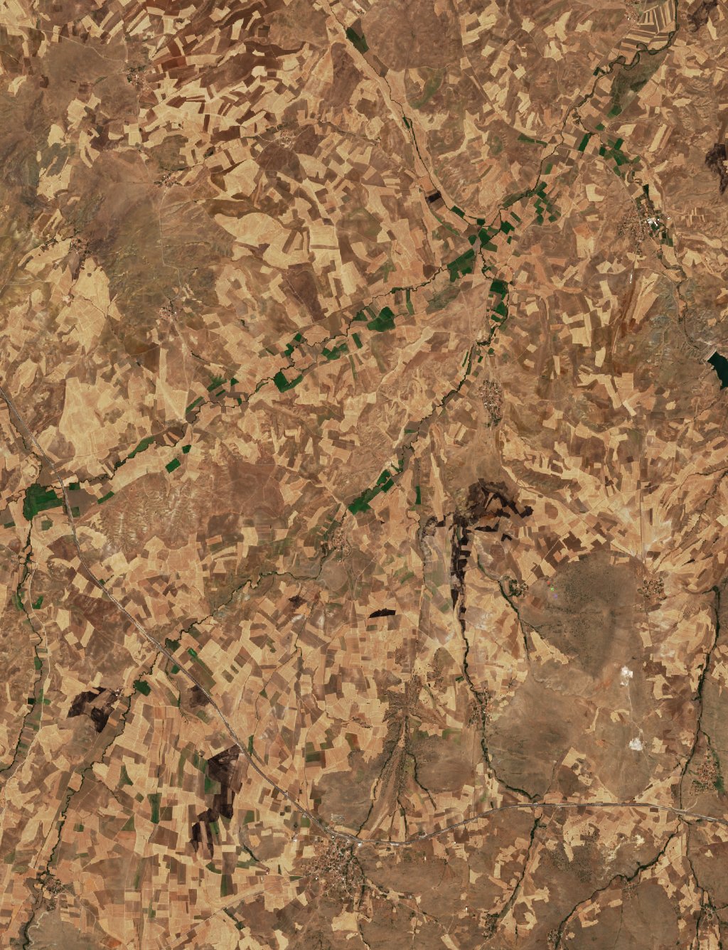 The area after the fire, August 15, 2026
