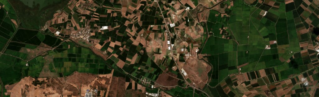 Sentinel-2 images