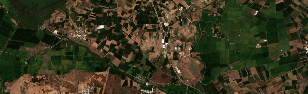 The area before the fire, September 5, 2026