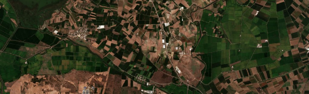 The area after the fire, September 8, 2026