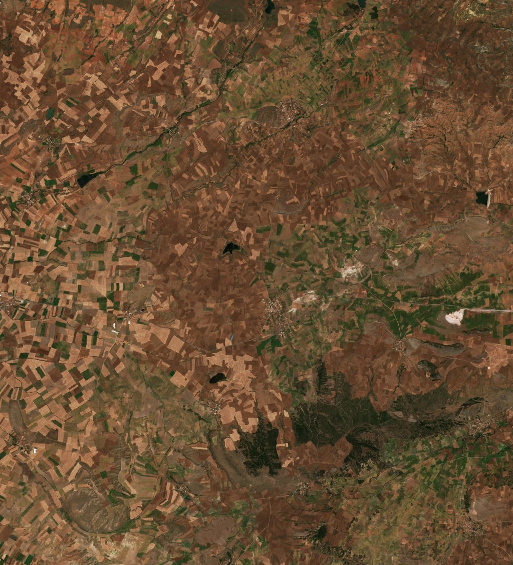 The area before the fire, July 28, 2026