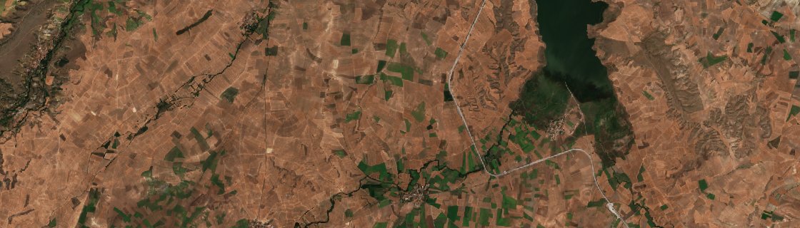 The area before the fire, August 20, 2026