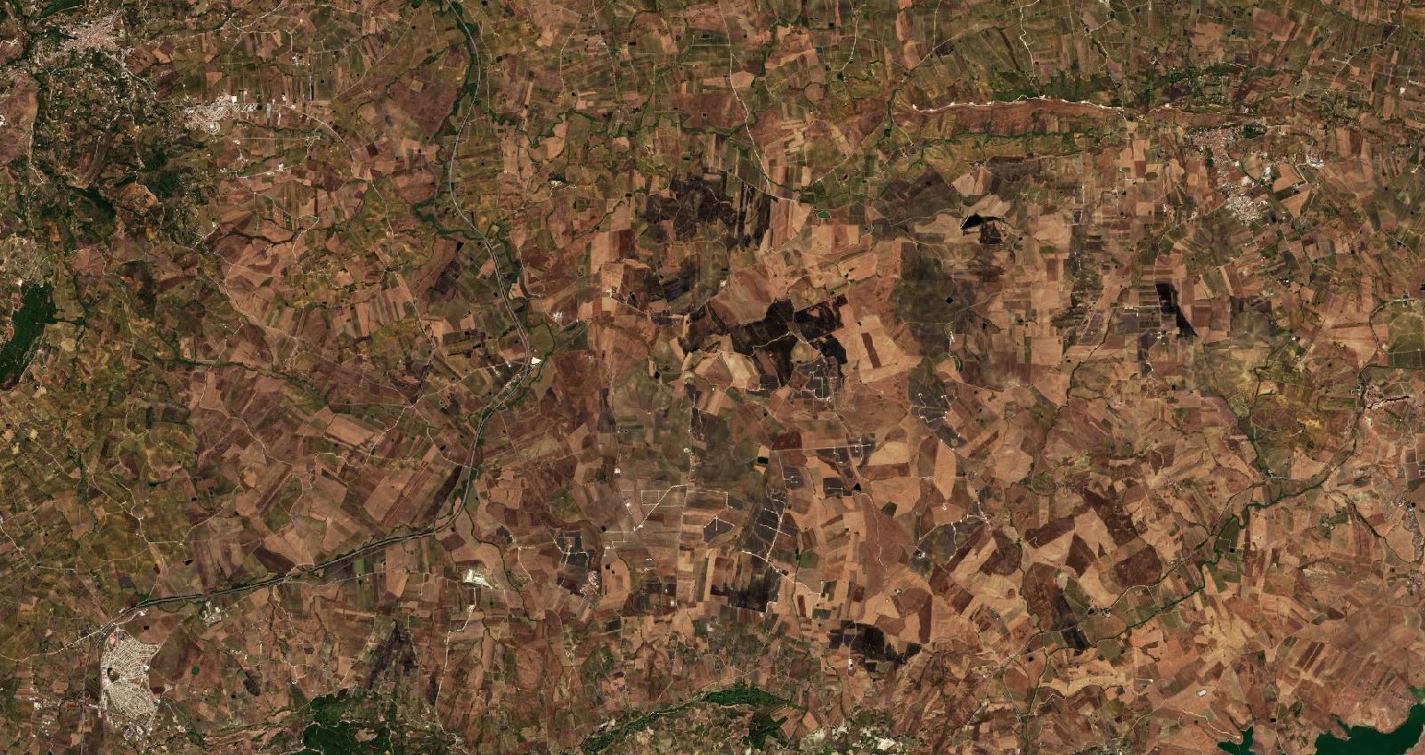 The area after the fire, September 3, 2026