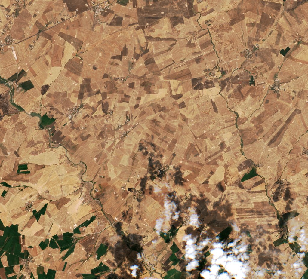 Sentinel-2 images