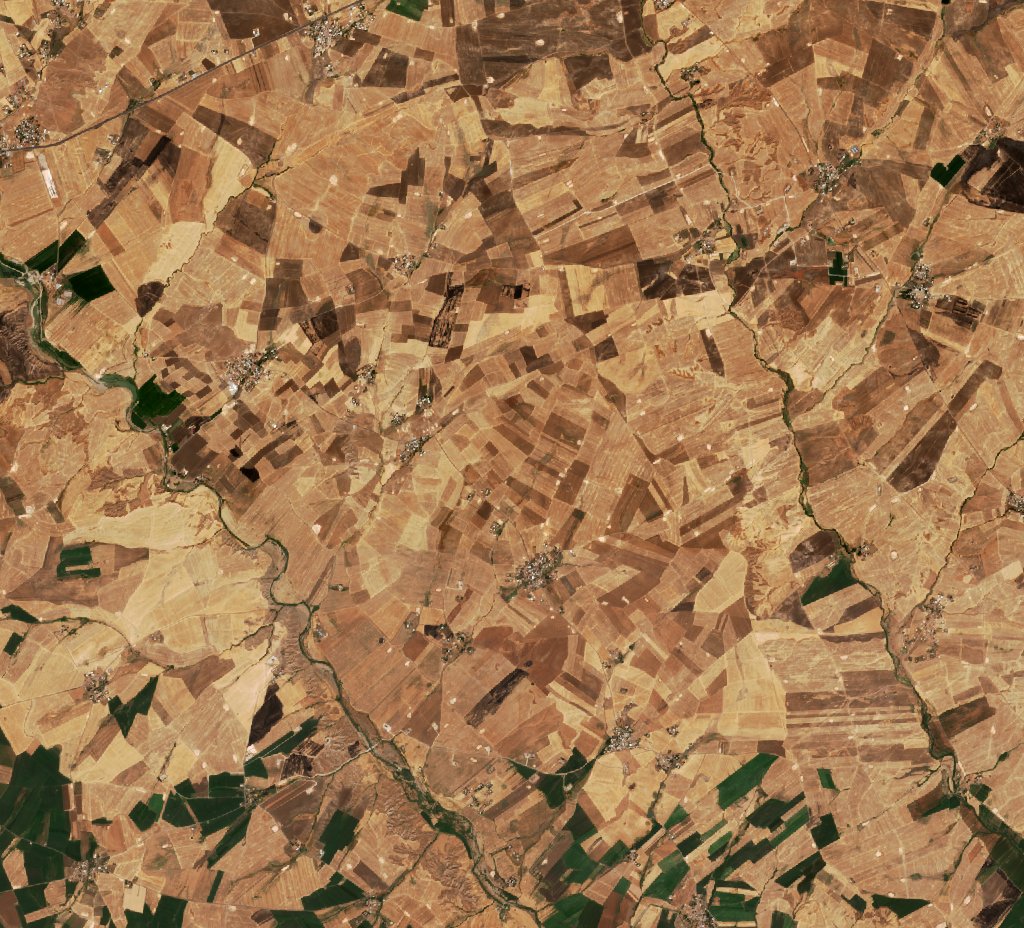 The area before the fire, September 17, 2026