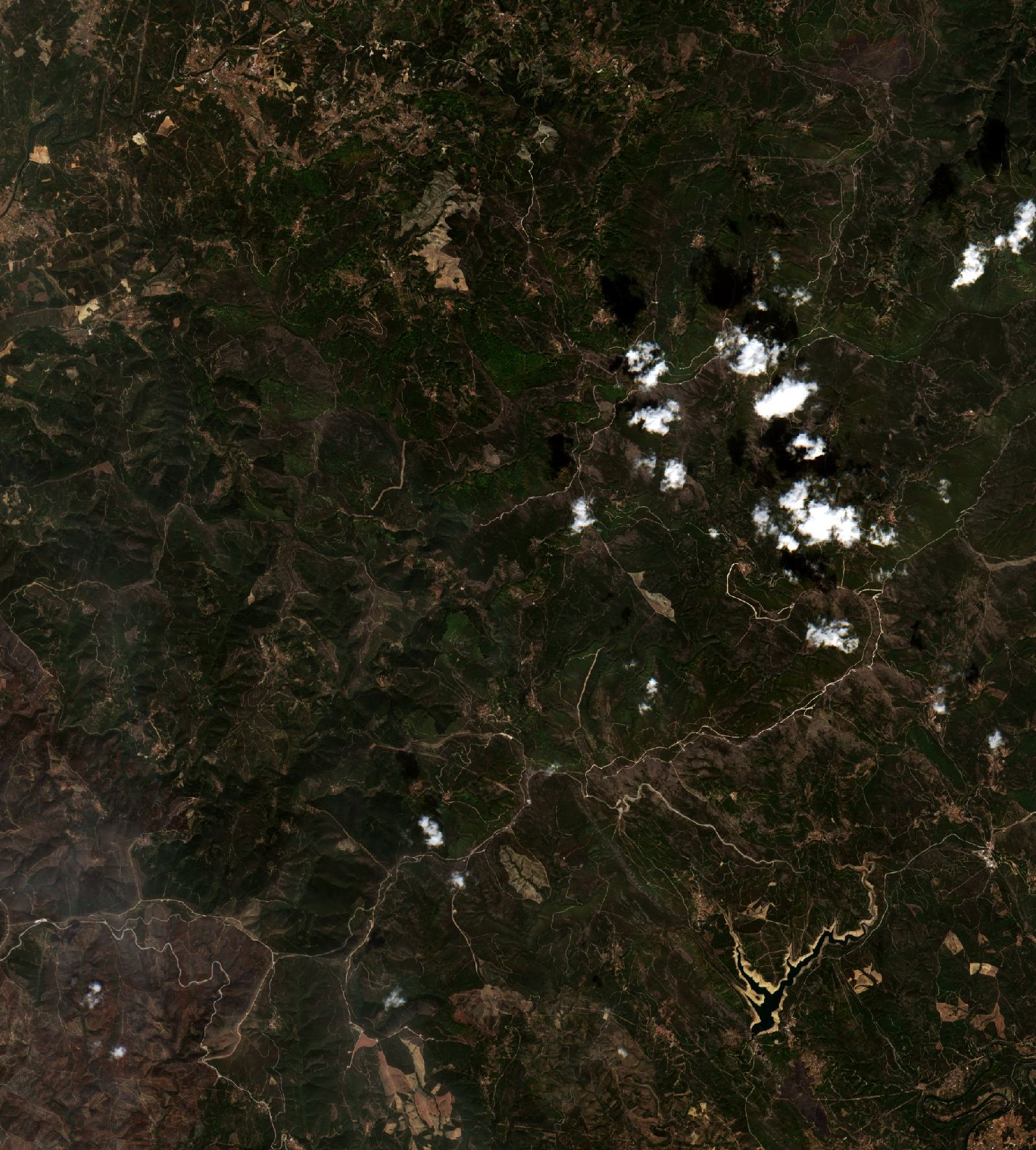 Sentinel-2 images
