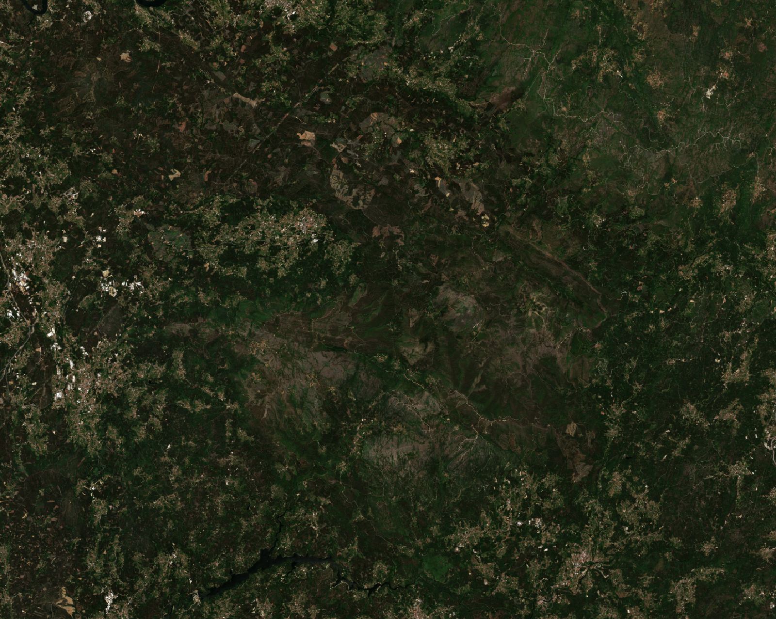 The area before the fire, July 9, 2016