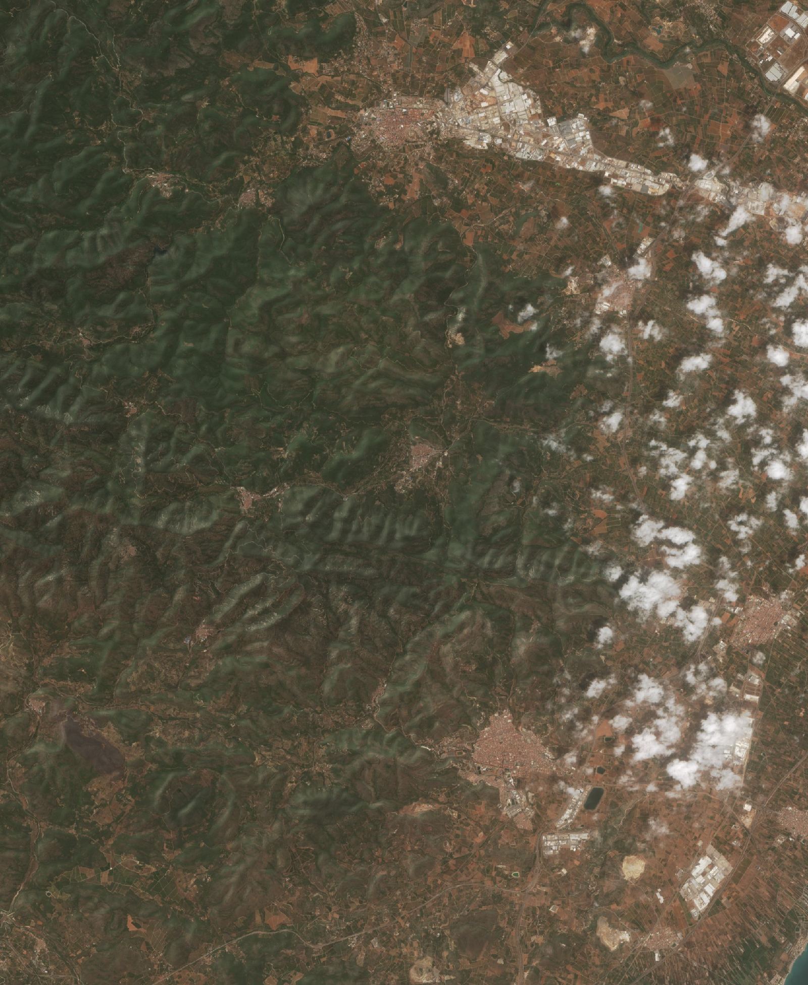 The area before the fire, July 23, 2026