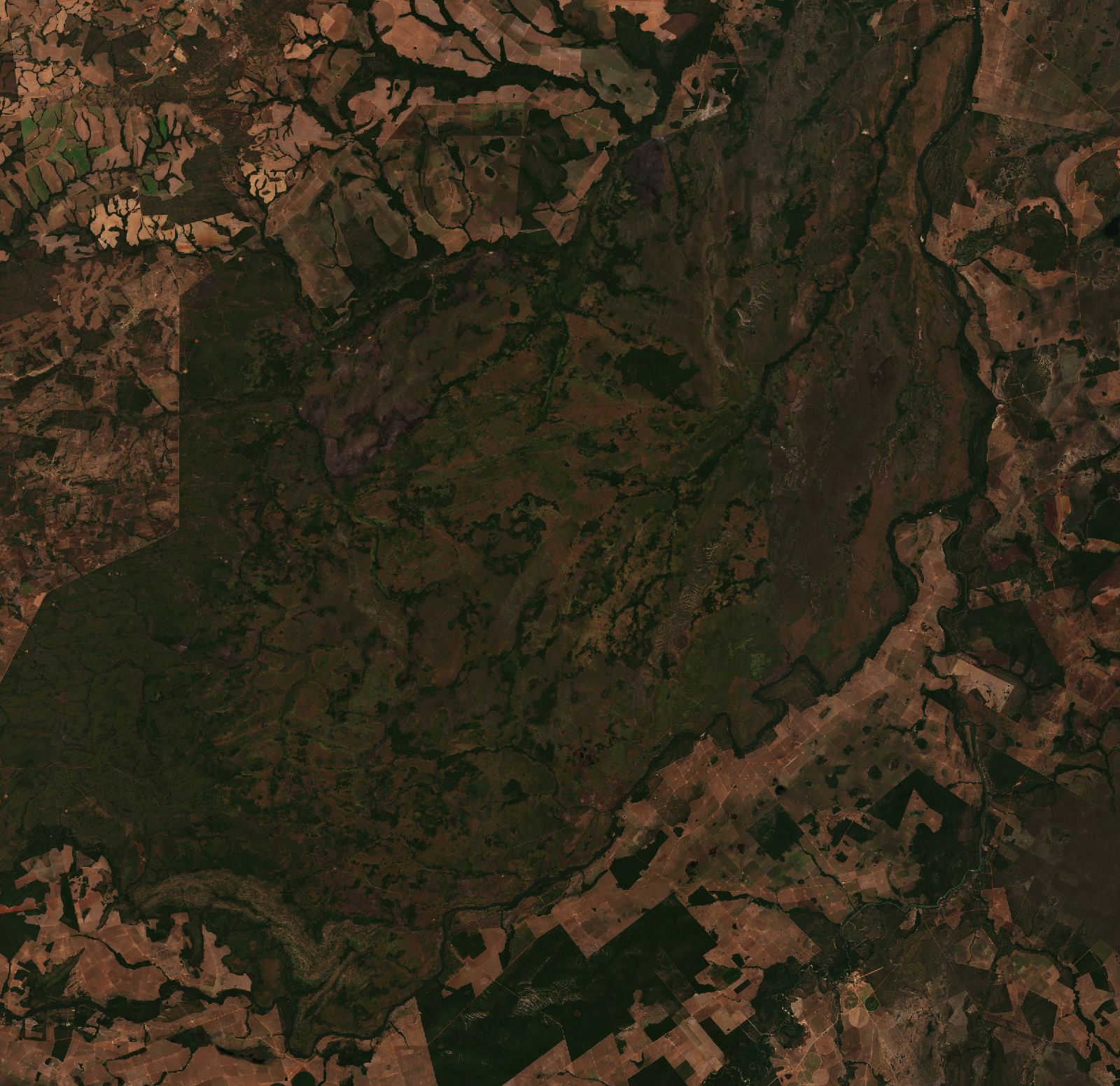 The area before the fire, July 25, 2026
