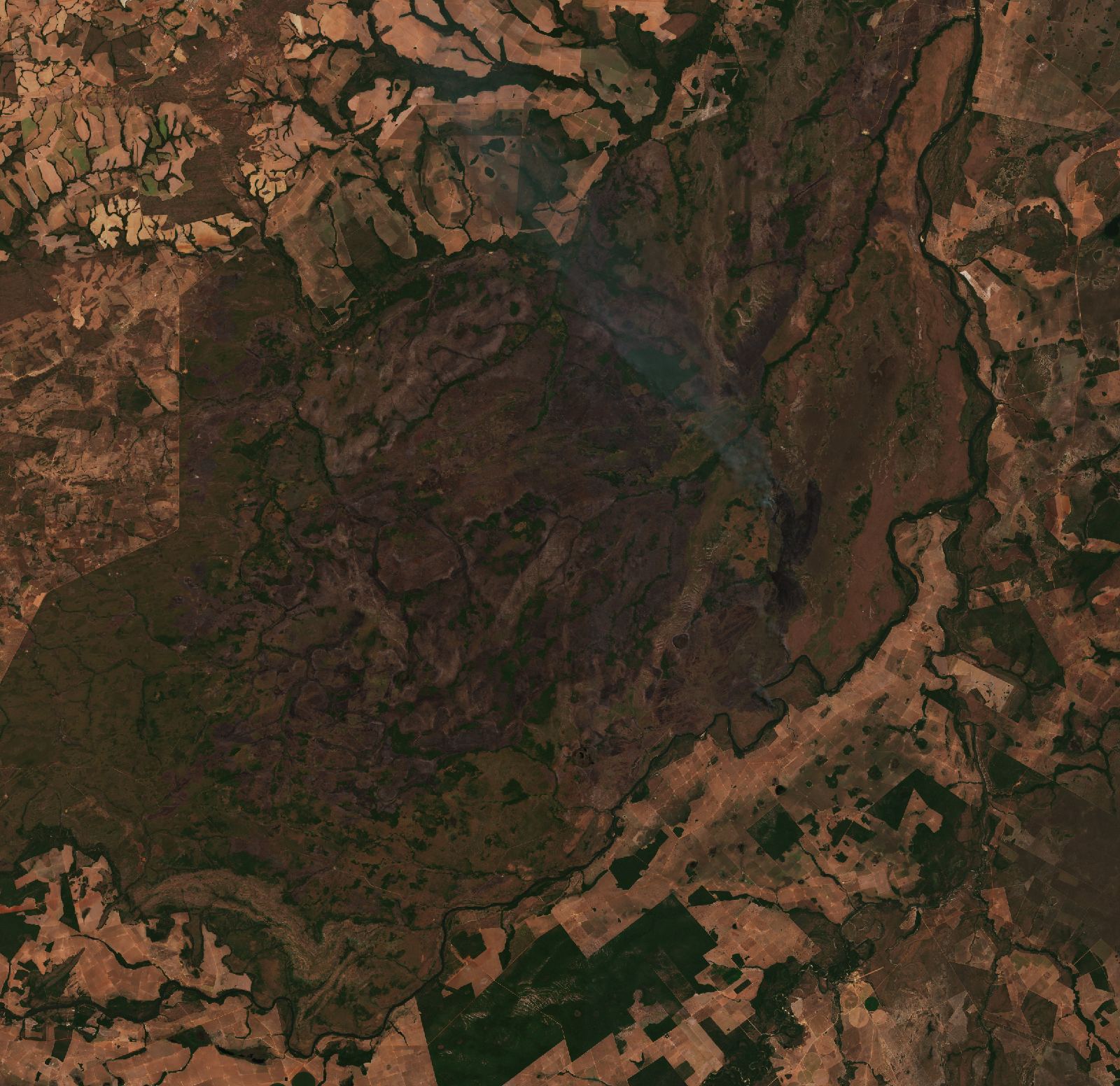 The area after the fire, August 22, 2026