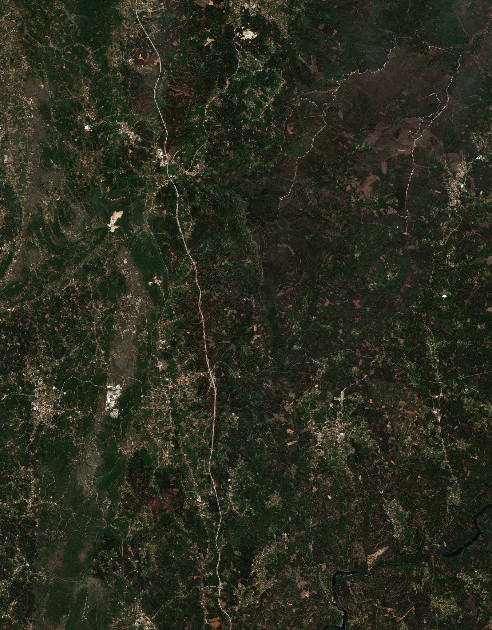 Sentinel-2 images