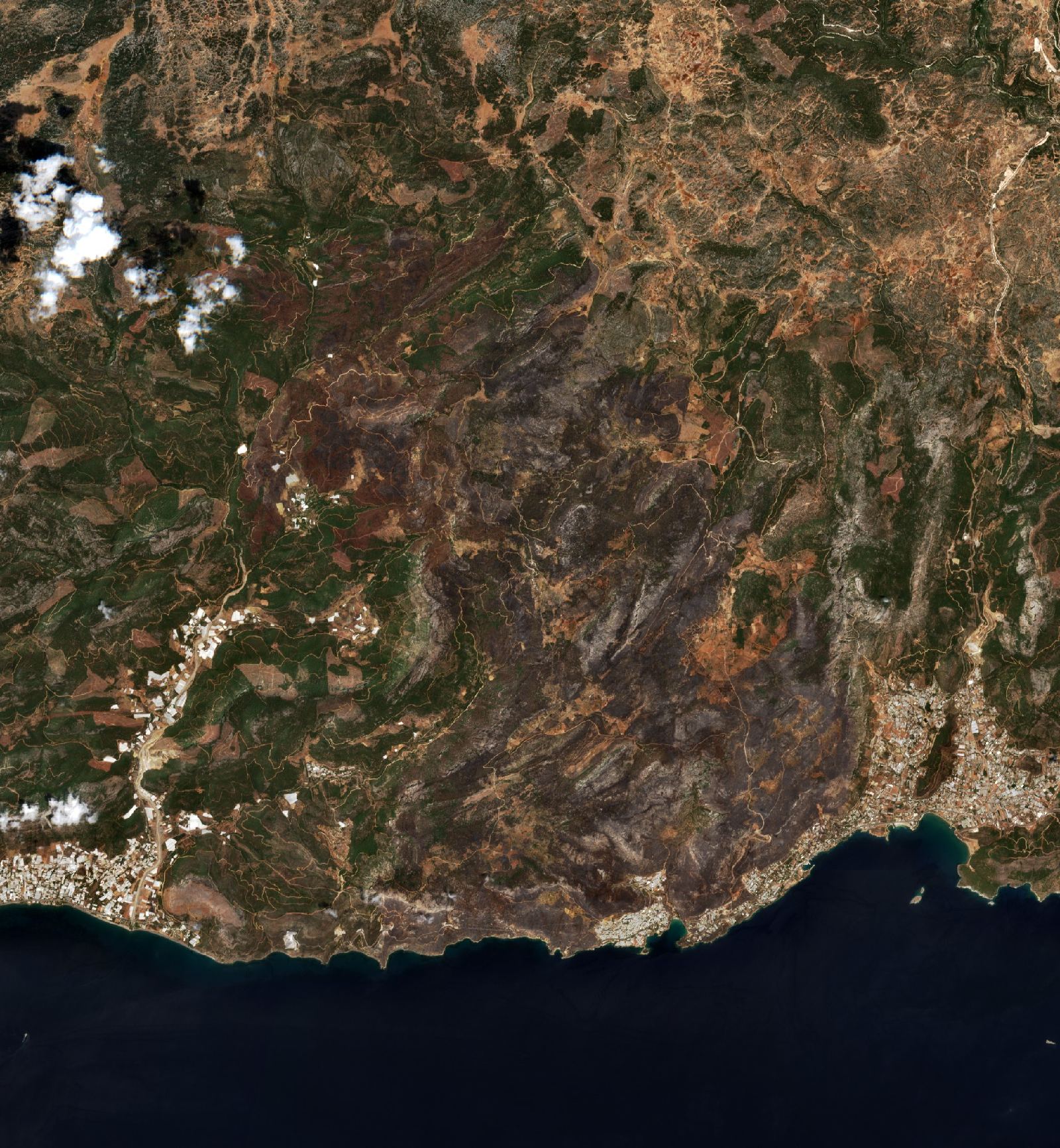 The area after the fire, August 6, 2021