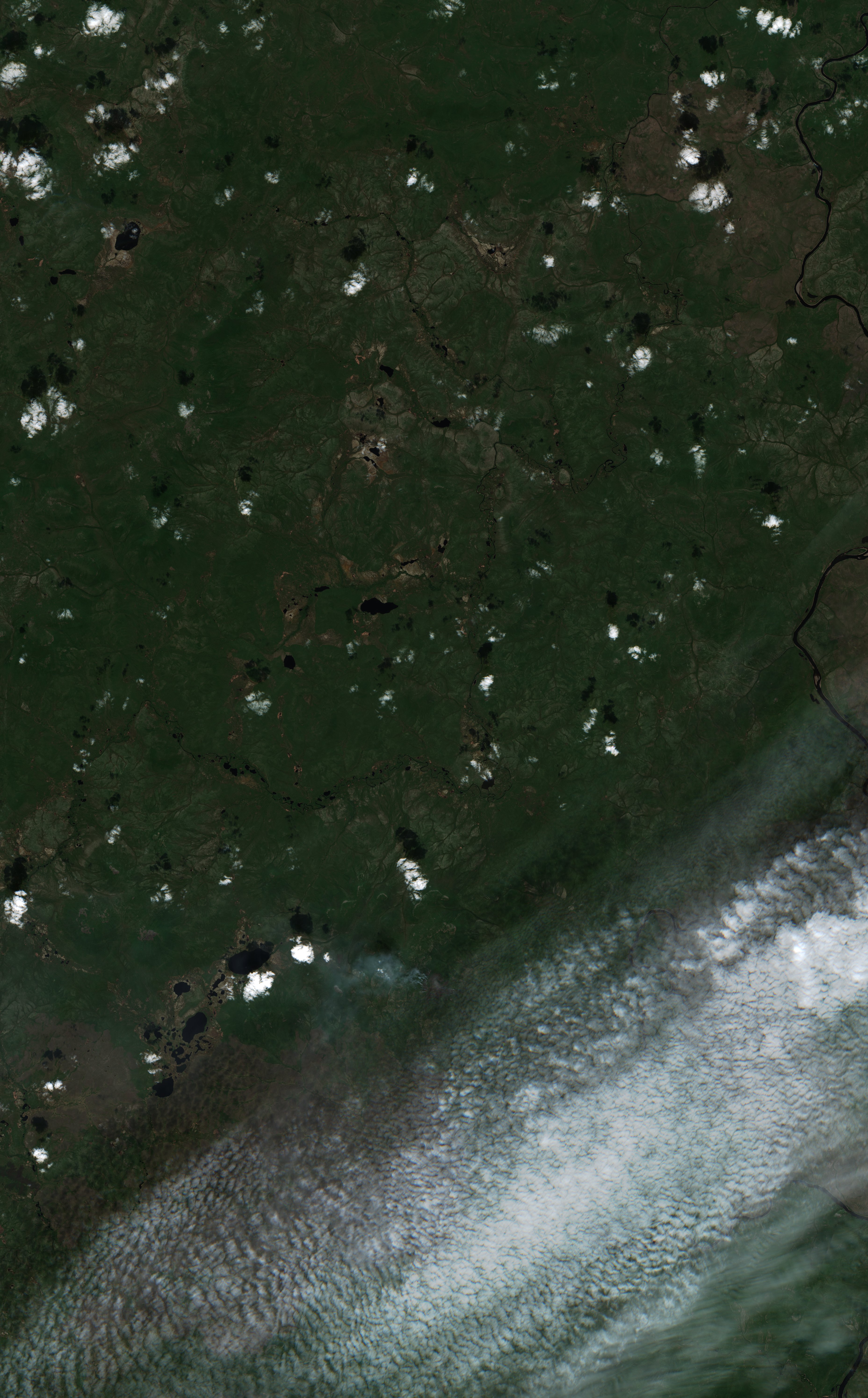 The area before the fire, June 21, 2026