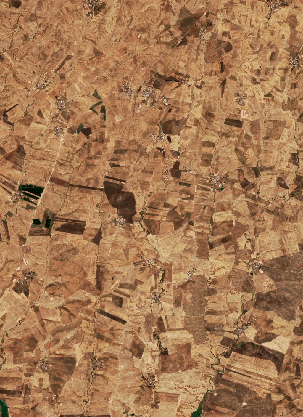 The area before the fire, September 3, 2026