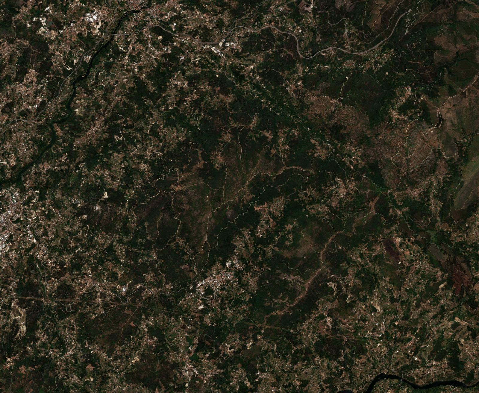 Sentinel-2 images