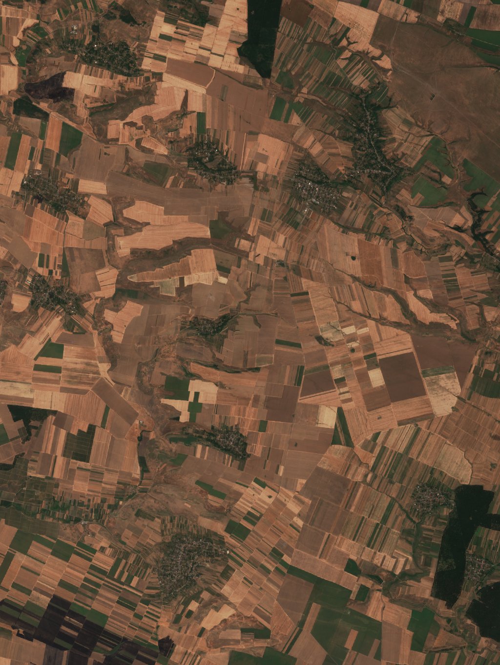 Sentinel-2 images