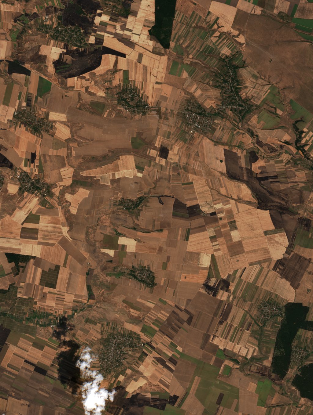 The area before the fire, August 3, 2026