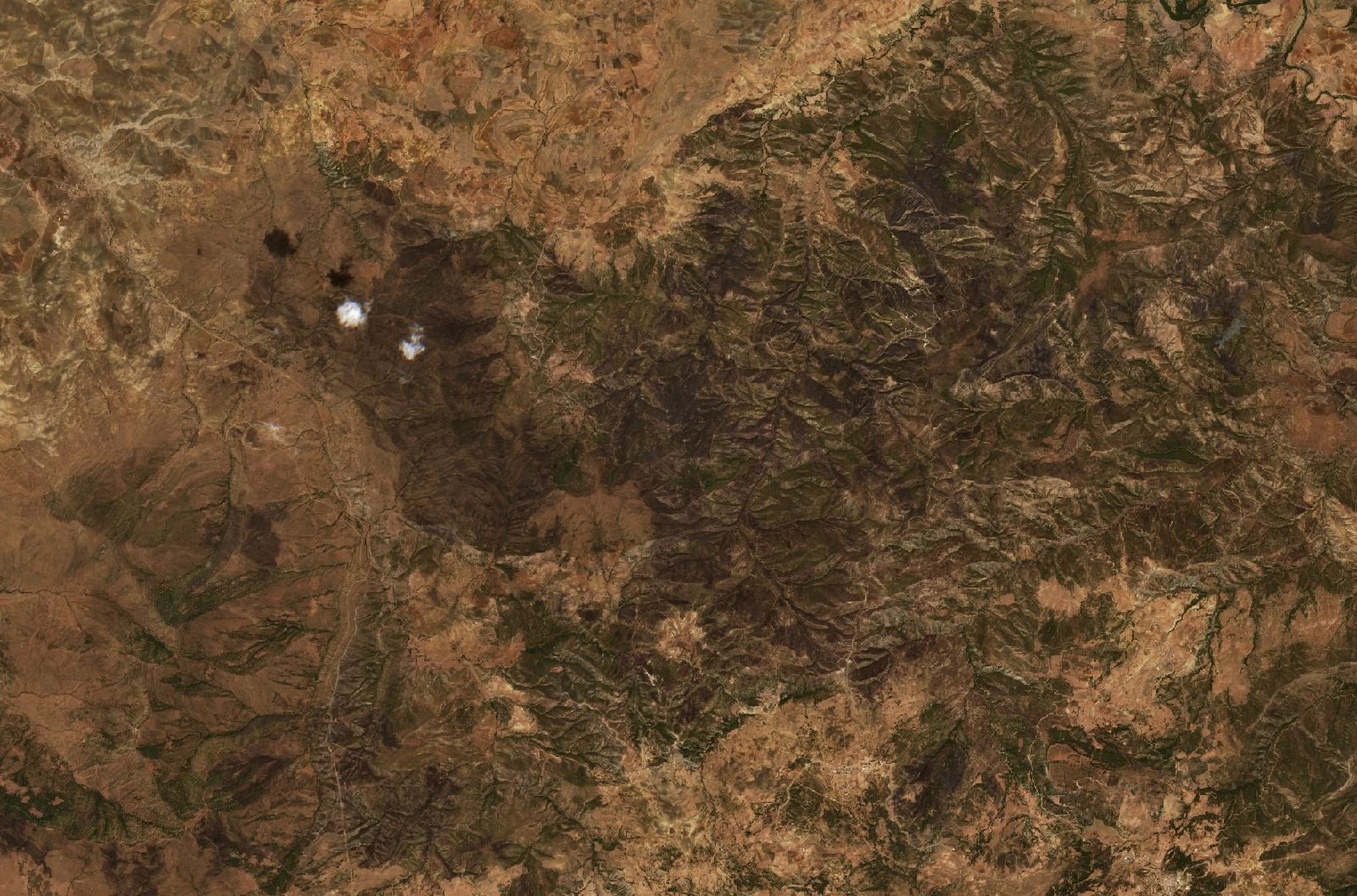 The area after the fire, August 15, 2020