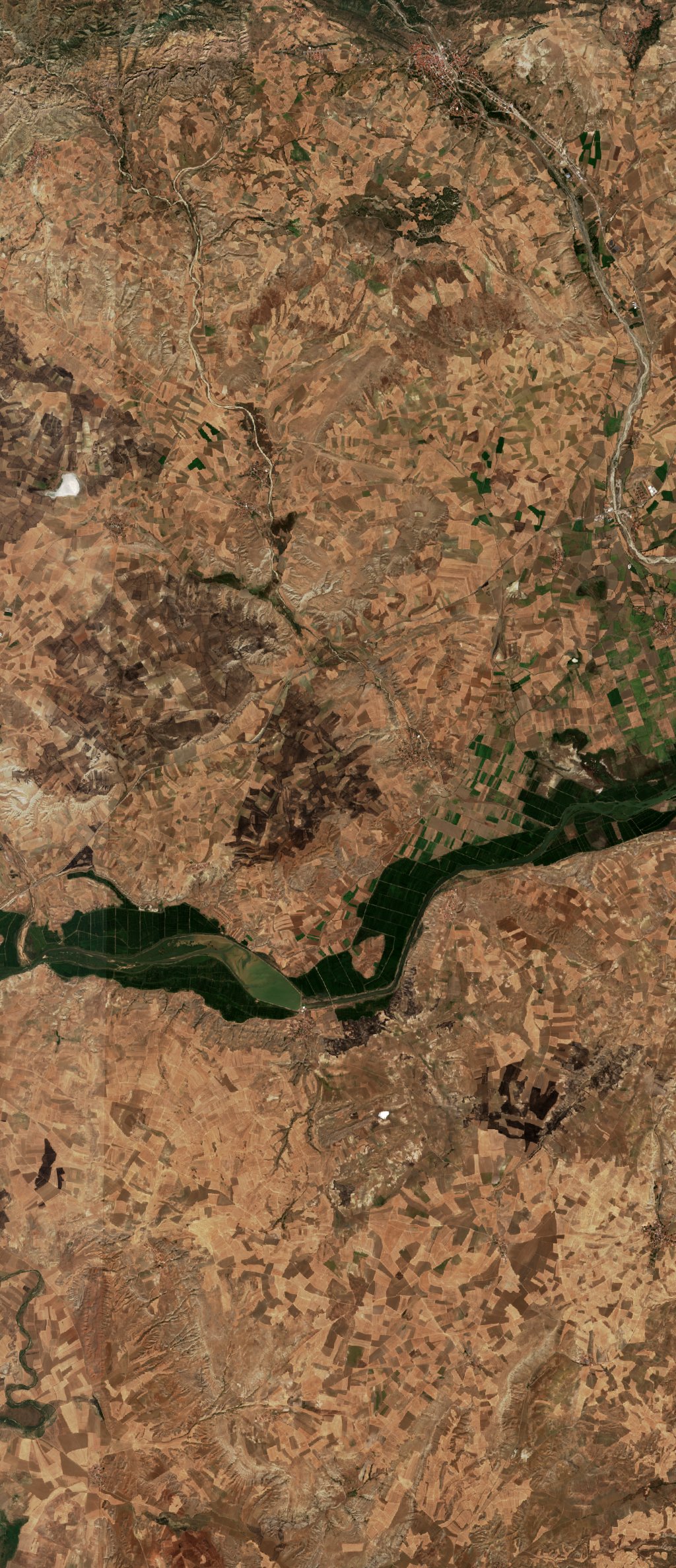 The area after the fire, August 20, 2026