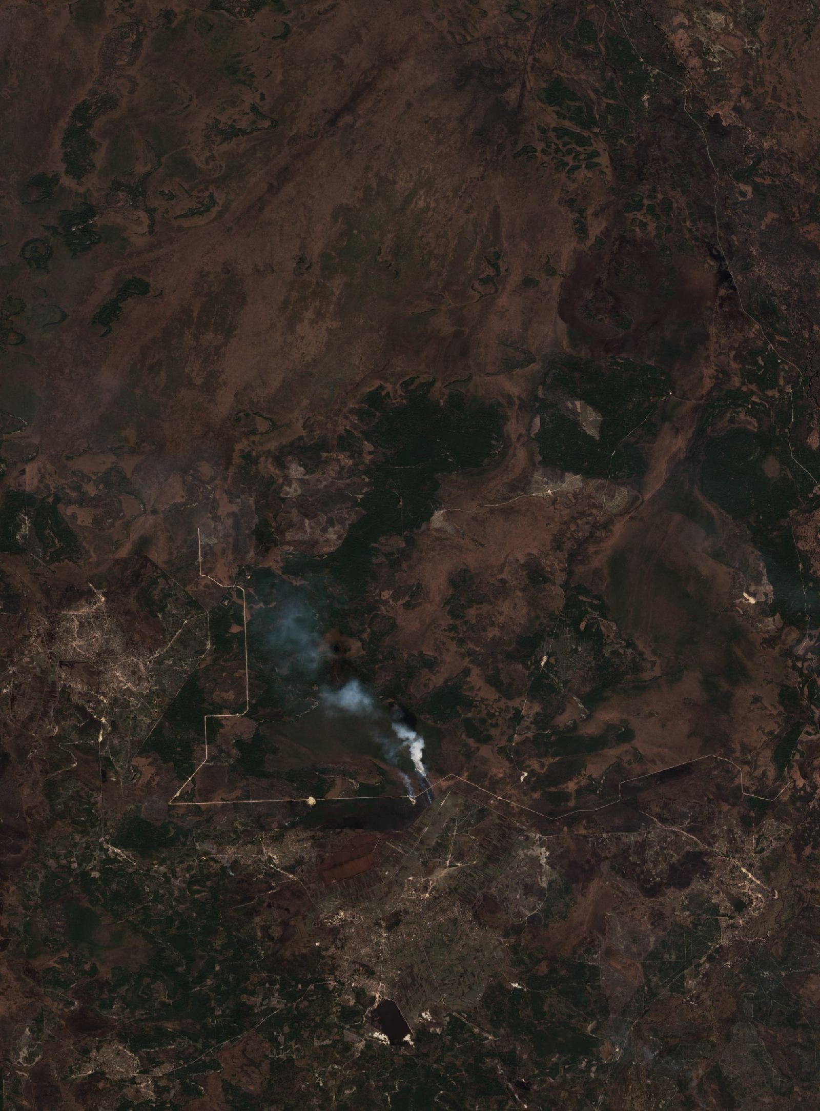 The area before the fire, April 4, 2019