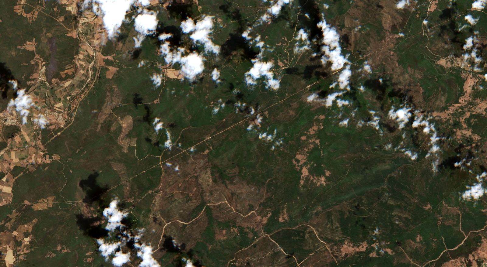 Sentinel-2 images