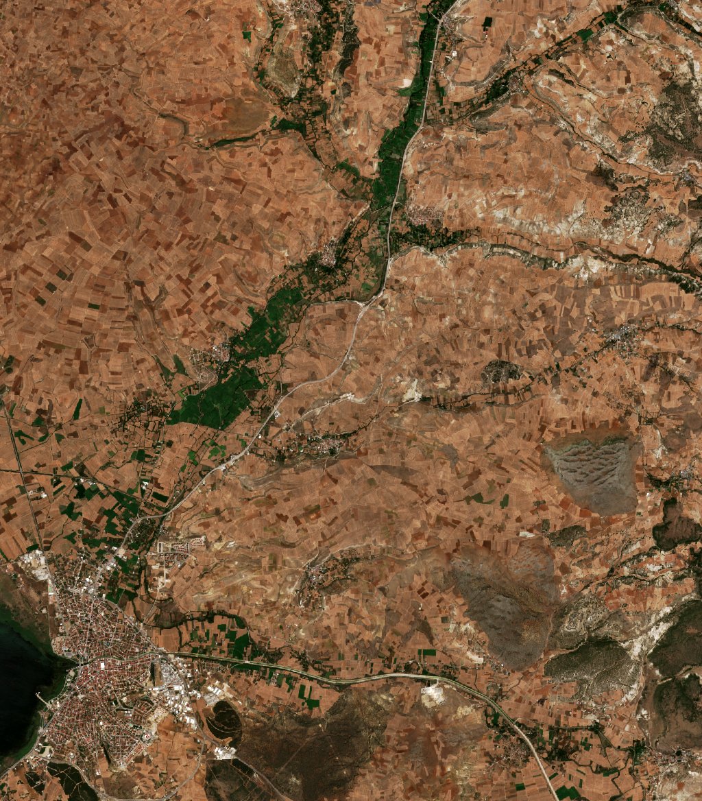 The area before the fire, August 20, 2026