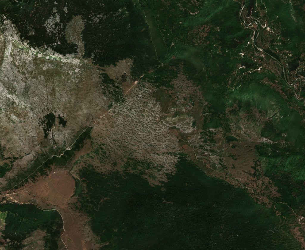 Sentinel-2 images