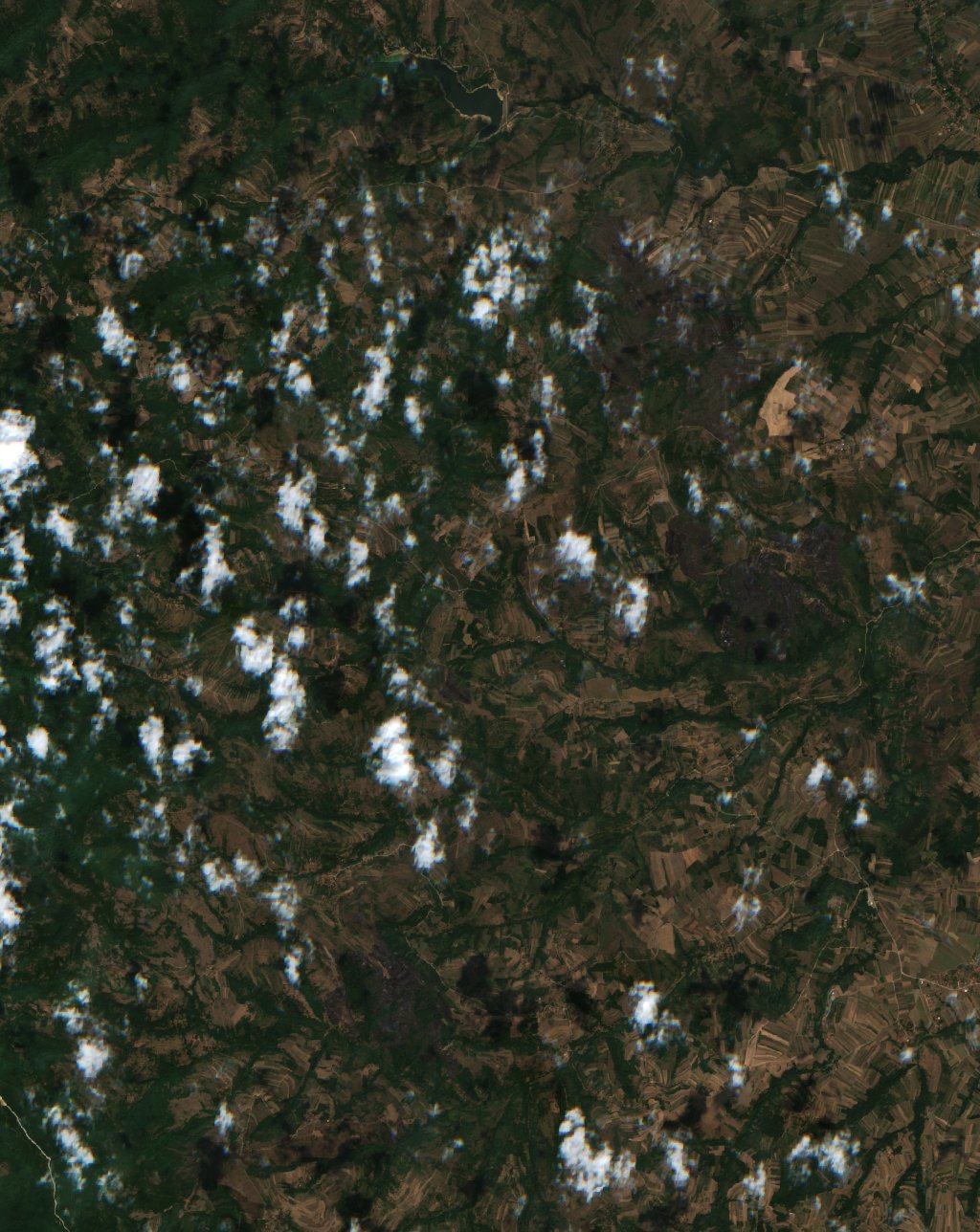 The area after the fire, August 23, 2026