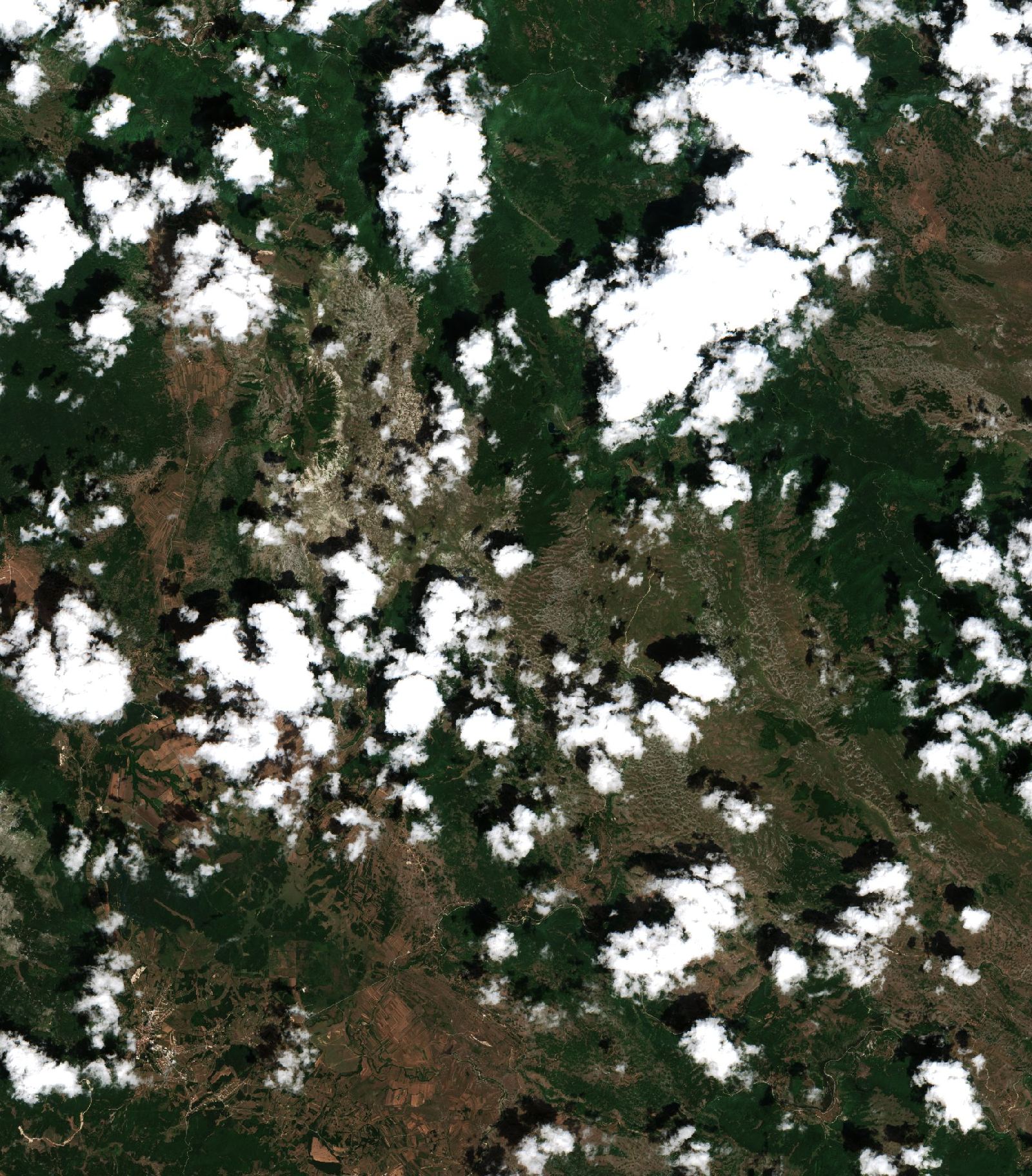 Sentinel-2 images