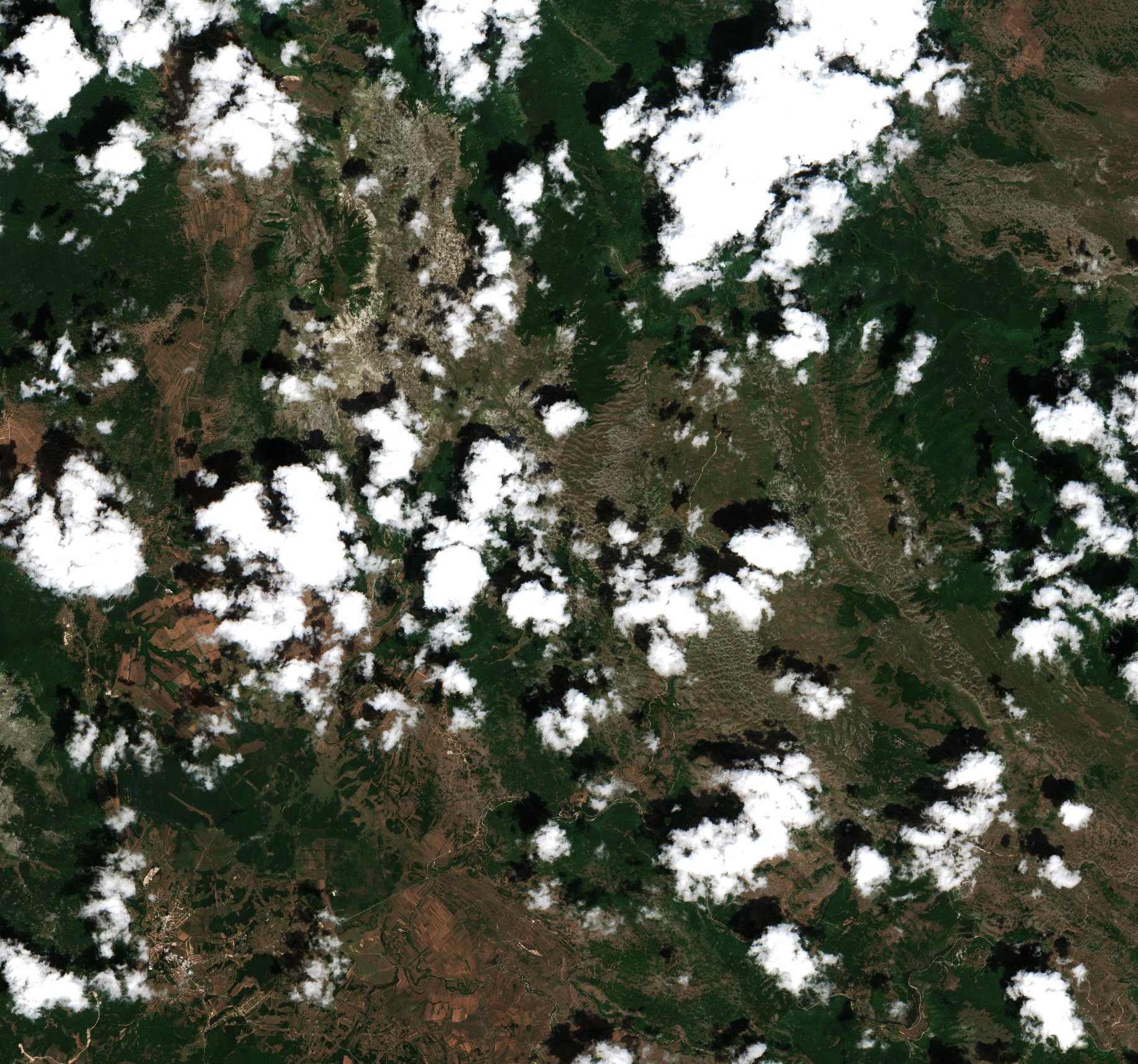 Sentinel-2 images