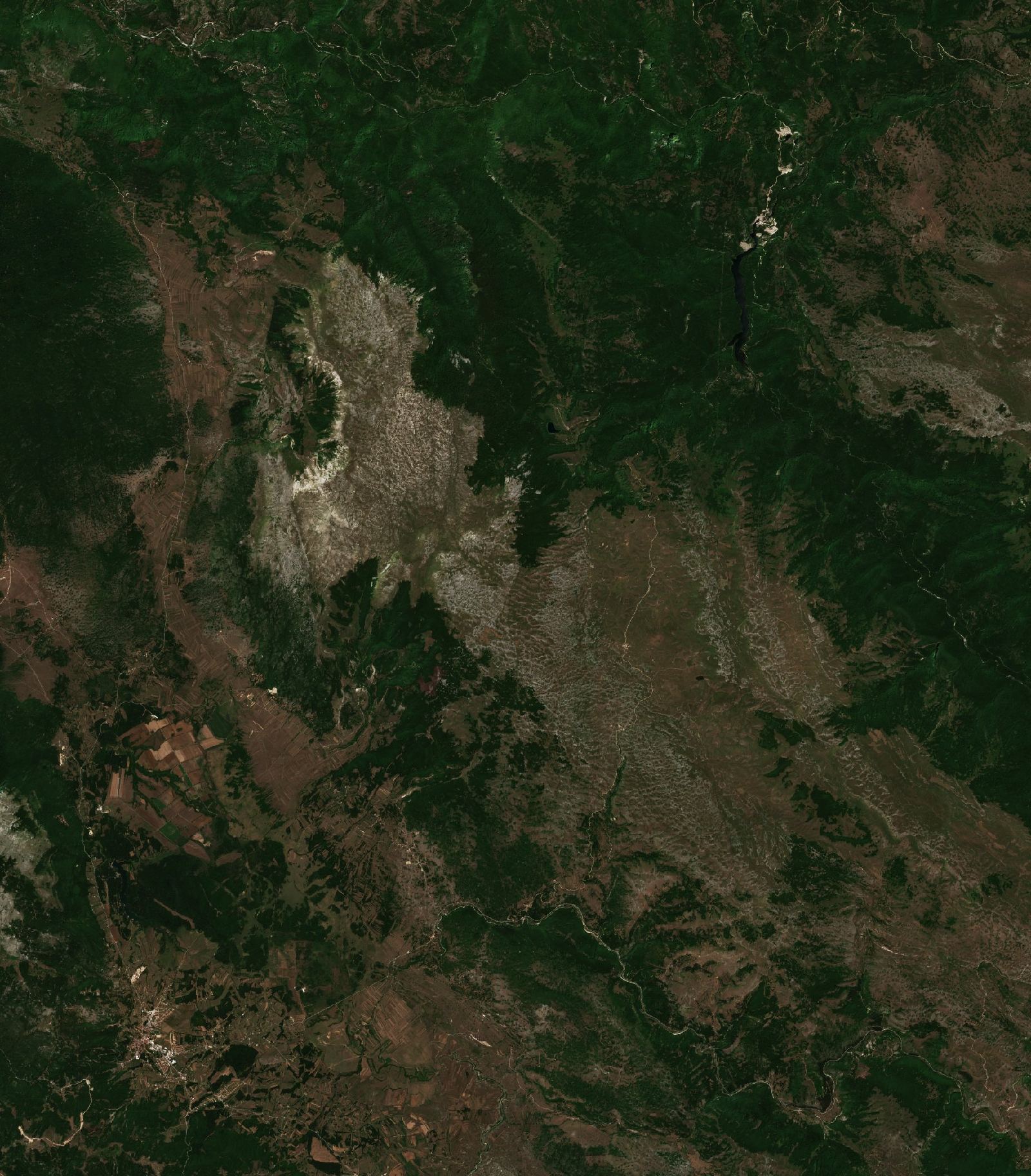 The area before the fire, July 29, 2026