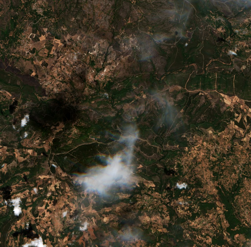 Sentinel-2 images
