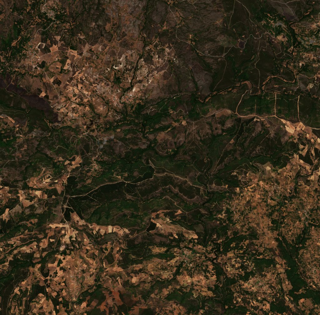 The area before the fire, August 6, 2026