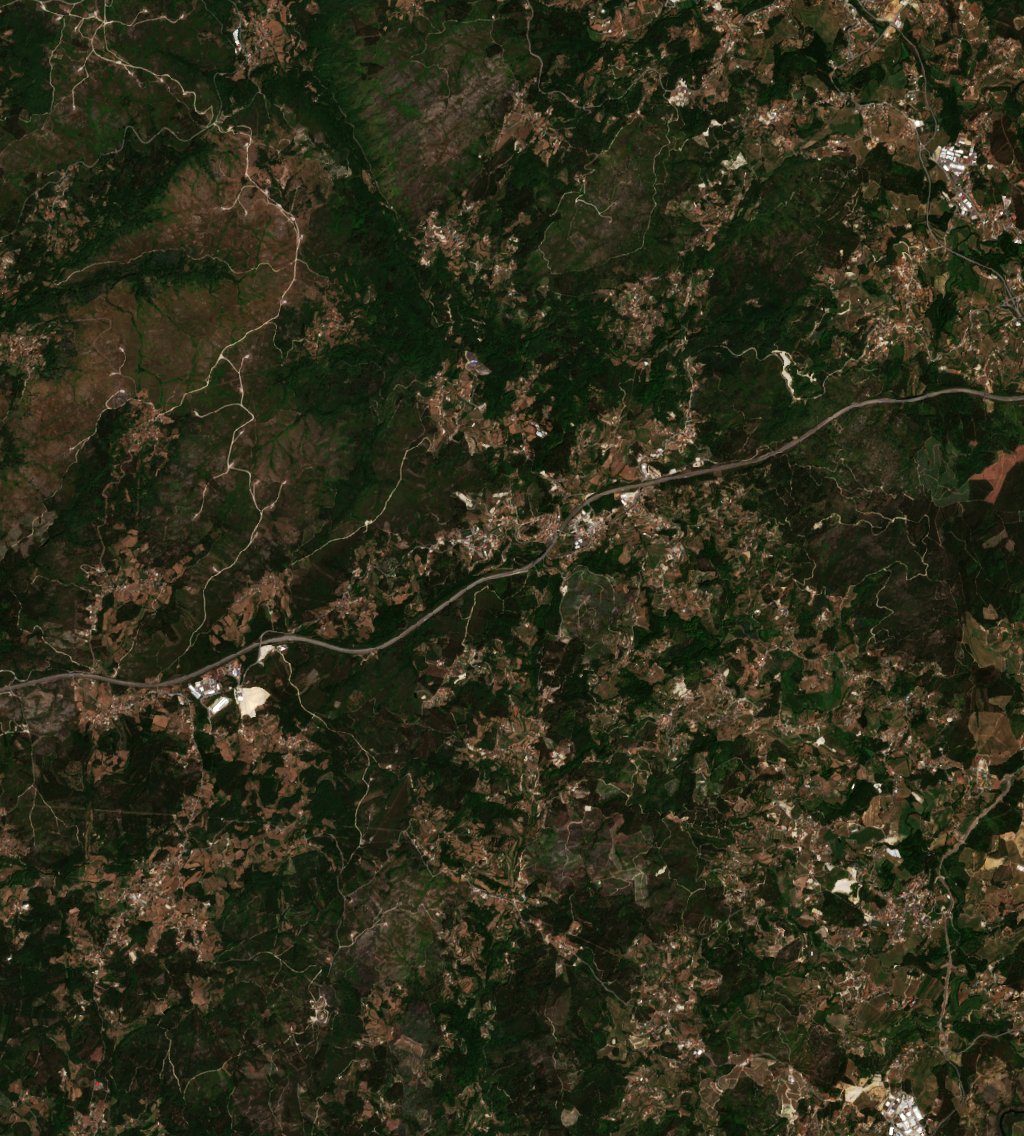 Sentinel-2 images