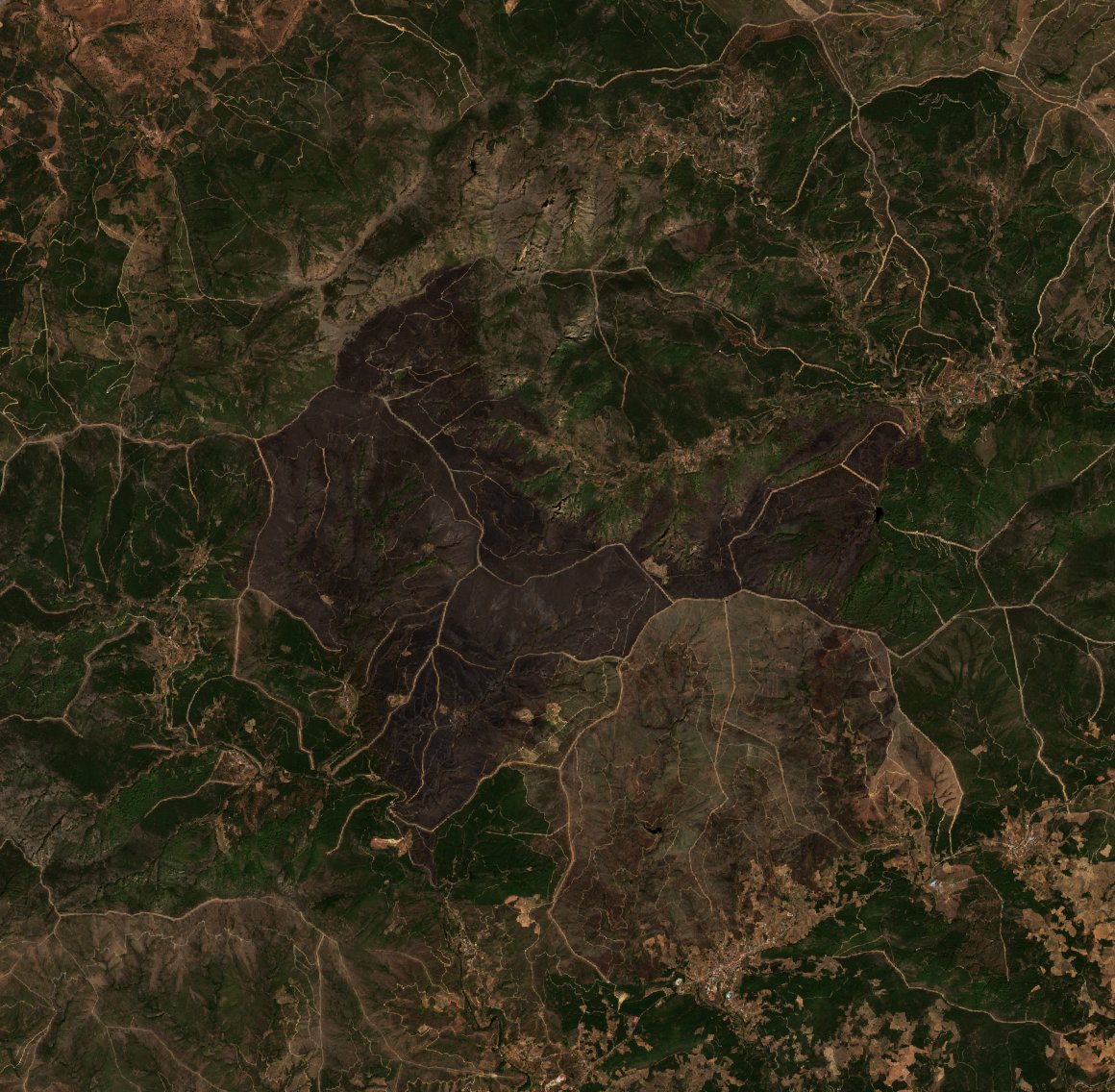 The area after the fire, August 23, 2026