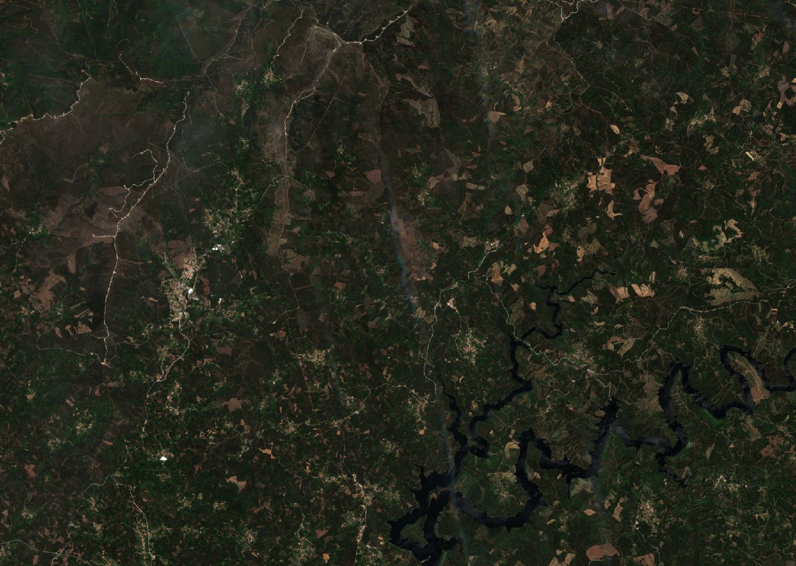 Sentinel-2 images