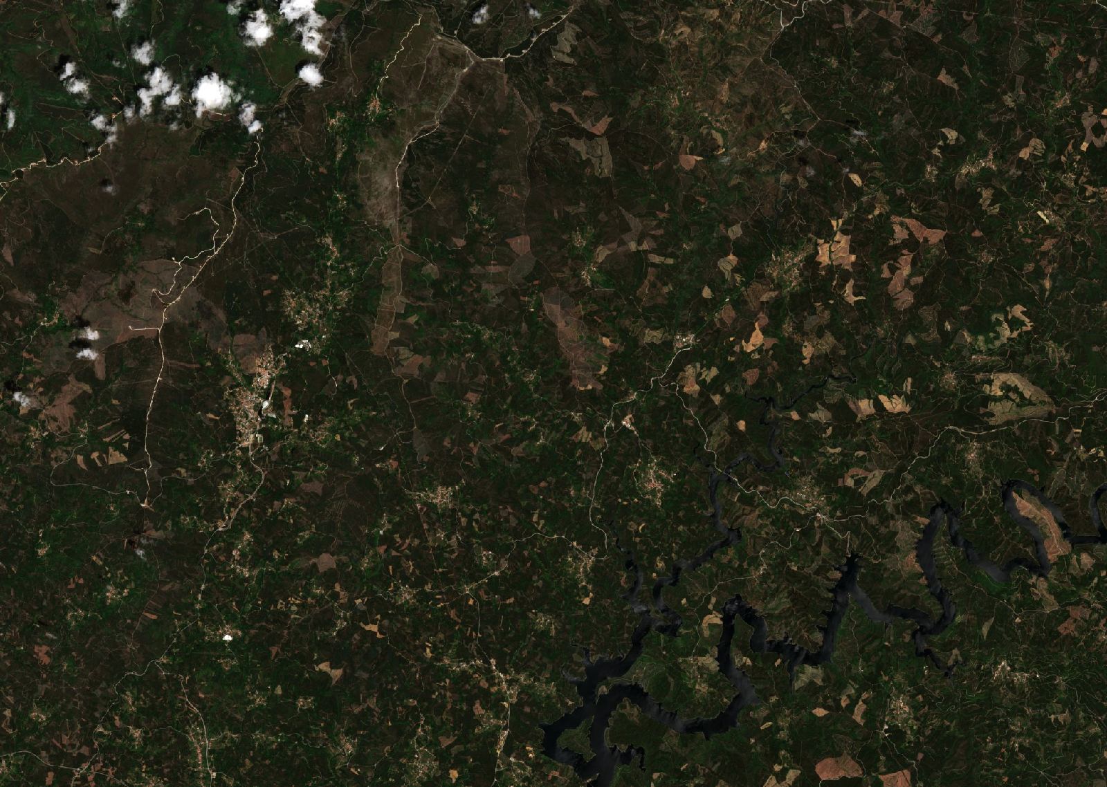The area before the fire, June 4, 2017