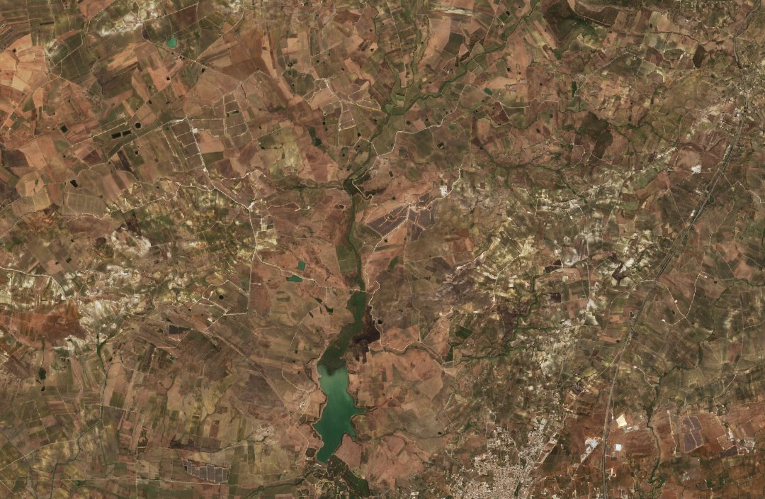 The area before the fire, August 24, 2026
