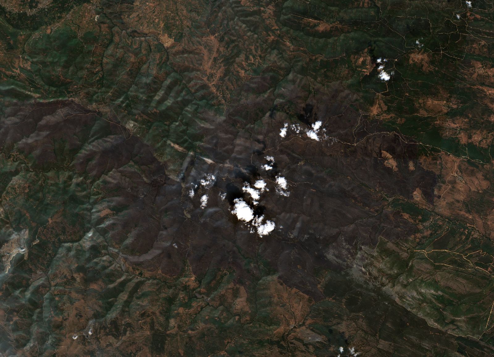 The area after the fire, August 23, 2025