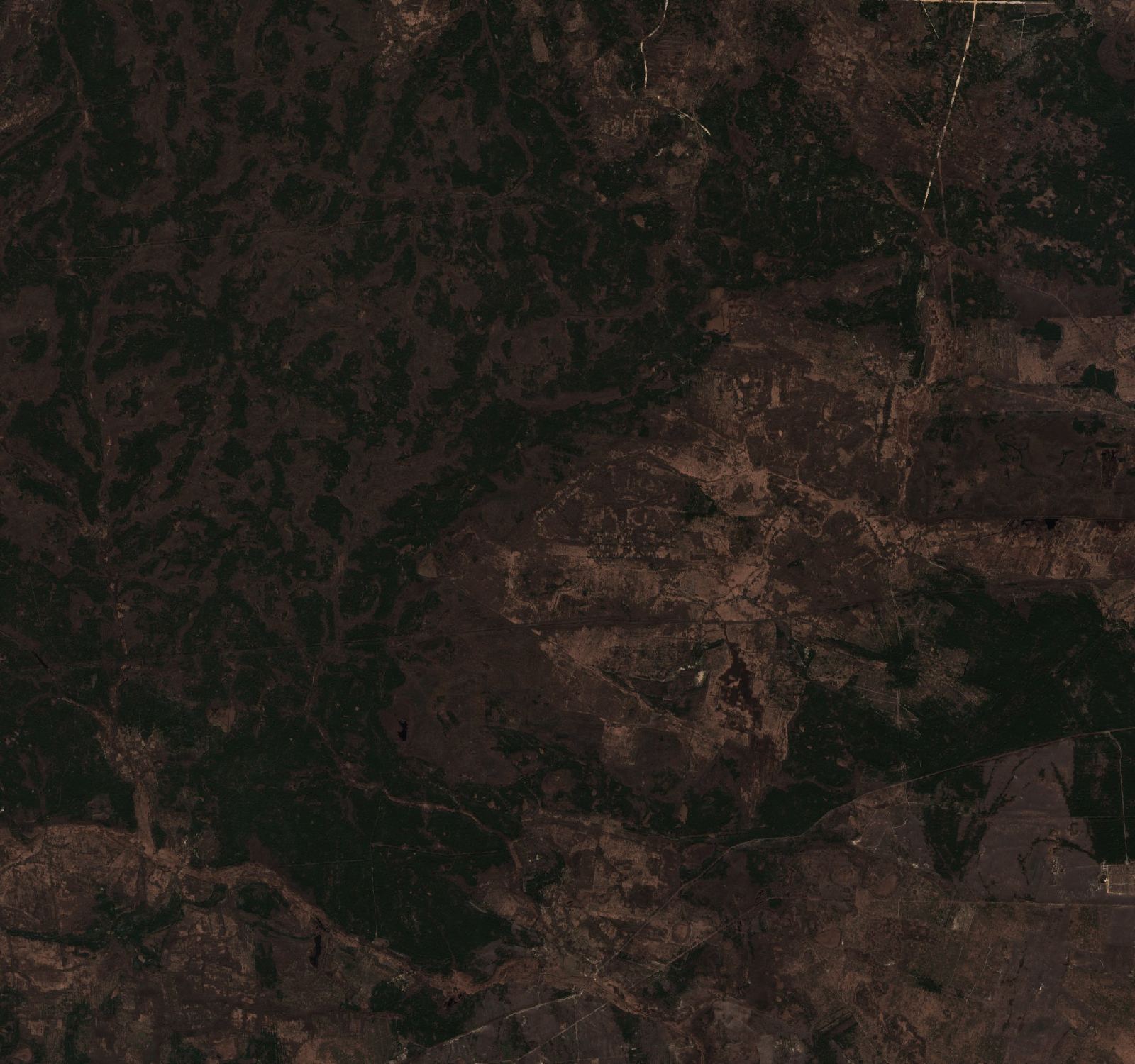 The area before the fire, March 26, 2020