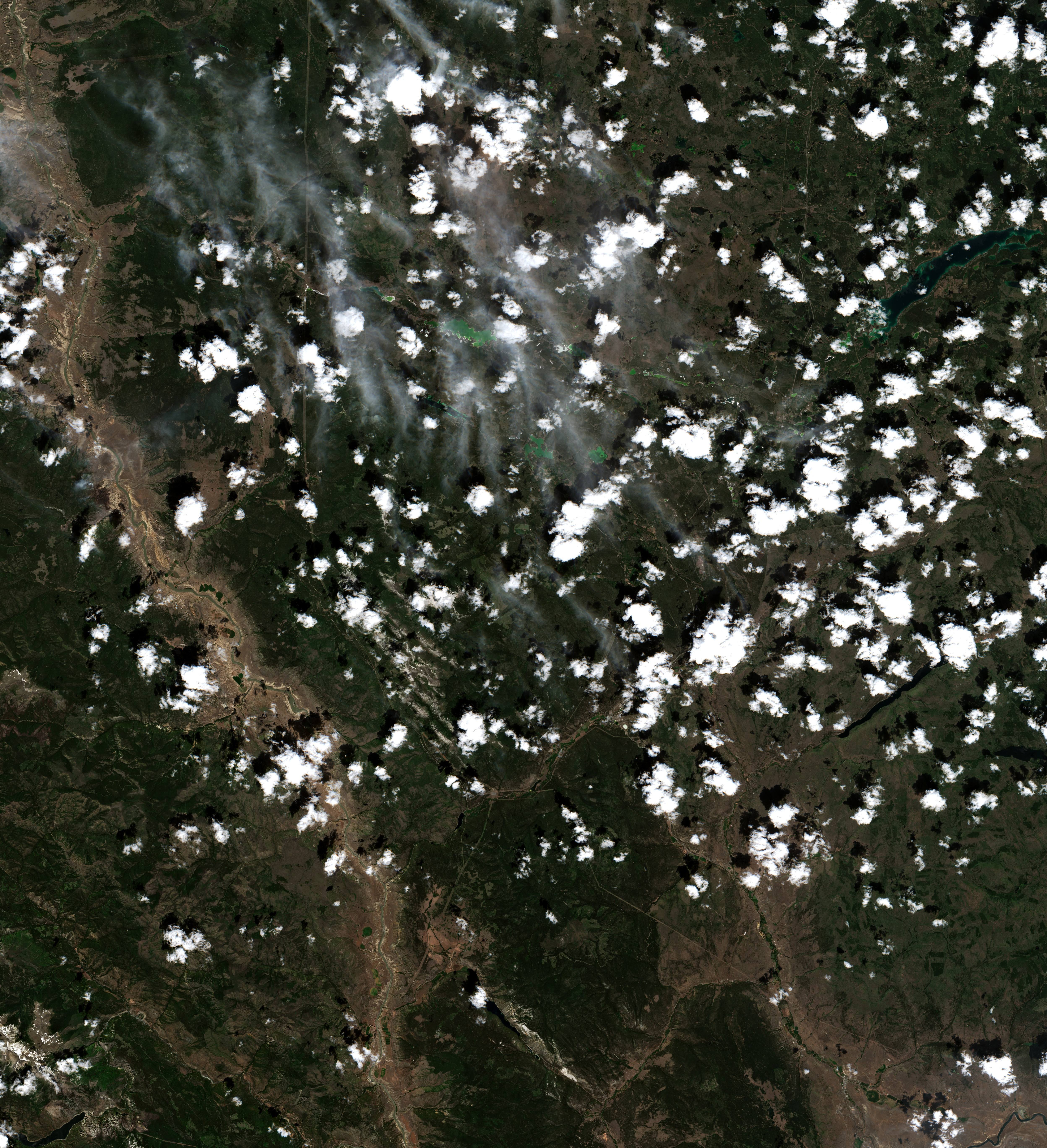 Sentinel-2 images