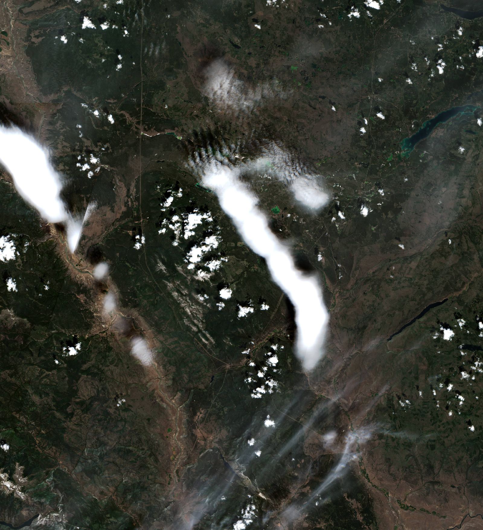 The area before the fire, July 13, 2026