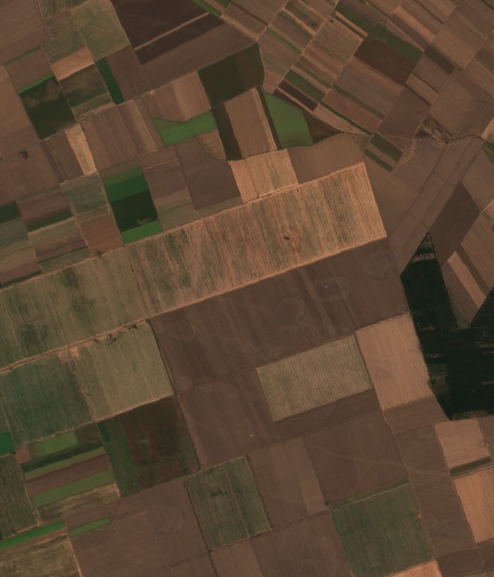 The area before the fire, August 10, 2026
